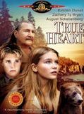 Affiche de True Heart, film à voir en streaming sur Pygargue
