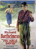 Affiche de David l'endurant, film à voir en streaming sur Pygargue