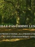 Affiche de Une Famille pas comme les autres, film à voir en streaming sur Pygargue