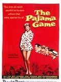 Affiche de Pique-nique en pyjama, film à voir en streaming sur Pygargue