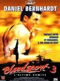 Affiche de Bloodsport 3 : l'ultime Kumite, film à voir en streaming sur Pygargue