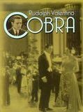 Affiche de Cobra, film à voir en streaming sur Pygargue