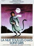 Affiche de La Nuit tous les chats sont gris, film à voir en streaming sur Pygargue