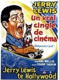 Affiche de Un Vrai cinglé de cinema, film à voir en streaming sur Pygargue