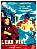 Affiche de L'Eau vive, film à voir en streaming sur Pygargue