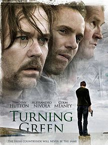 Affiche de Turning Green, film à voir en streaming sur Pygargue
