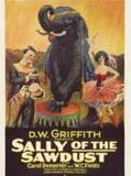 Affiche de Sally, fille de cirque, film à voir en streaming sur Pygargue