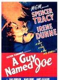 Affiche de Un nommé Joe, film à voir en streaming sur Pygargue