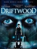 Affiche de Driftwood, film à voir en streaming sur Pygargue
