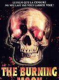 Affiche de The Burning Moon, film à voir en streaming sur Pygargue