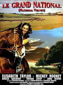 Affiche de Le Grand national, film à voir en streaming sur Pygargue