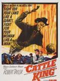 Affiche de Les Ranchers du Wyoming, film à voir en streaming sur Pygargue