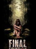 Affiche du film Final Solution, à voir en streaming sur Play DD Streaming