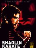 Affiche de Shaolin Karaté, film à voir en streaming sur Pygargue