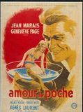Affiche de Un amour de poche, film à voir en streaming sur Pygargue