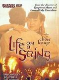 Affiche de La Vie sur un fil, film à voir en streaming sur Pygargue