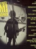 Affiche de Searching for Jimi Hendrix, film à voir en streaming sur Pygargue