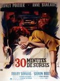 Affiche de Trente minutes de sursis, film à voir en streaming sur Pygargue