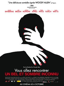 Affiche de Vous allez rencontrer un bel et sombre inconnu, film à voir en streaming sur Pygargue