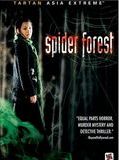Affiche du film Spider Forest, à découvrir en streaming sur Net Cardabelle