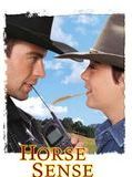 Affiche de Le Ranch du bonheur (TV), film à voir en streaming sur Pygargue
