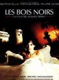 Affiche de Les Bois Noirs, film à voir en streaming sur Pygargue