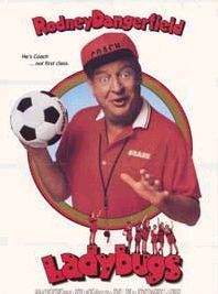 Affiche de Ladybugs, film à voir en streaming sur Pygargue