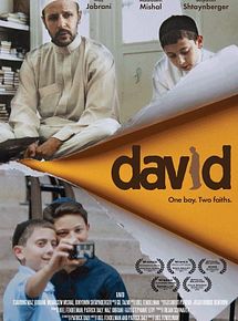 Affiche de David, film à voir en streaming sur Pygargue
