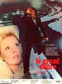 Affiche de Le Grand Délire, film à voir en streaming sur Pygargue