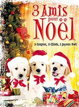 Affiche de 3 Amis pour Noël, film à voir en streaming sur Pygargue