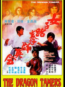 Affiche du film Le Maître de Taekwondo, à voir en streaming sur Play DD Streaming