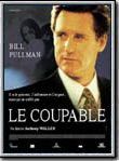Affiche de Le Coupable, film à voir en streaming sur Pygargue