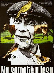 Affiche de A l'orée de la forêt, film à voir en streaming sur Pygargue