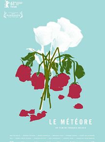 Affiche de Le Météore, film à voir en streaming sur Pygargue