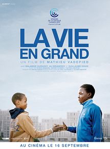 Affiche de La Vie en grand, film à voir en streaming sur Pygargue