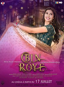 Affiche de Bin Roye, film à voir en streaming sur Pygargue
