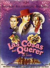 Affiche de Les Choses de l'amour, film à voir en streaming sur Pygargue