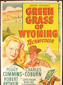 Affiche de L'herbe verte du Wyoming, film à voir en streaming sur Pygargue