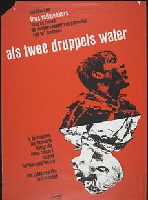 Affiche de Comme deux gouttes d'eau, film à voir en streaming sur Pygargue
