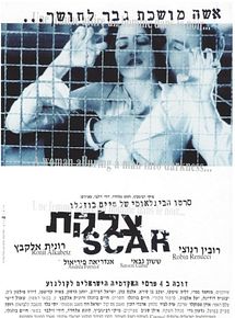 Affiche de La Cicatrice, film à voir en streaming sur Pygargue