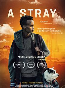Affiche de A Stray, film à voir en streaming sur Pygargue