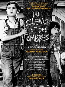 Affiche de Du silence et des ombres, film à voir en streaming sur Pygargue
