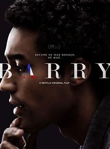Affiche de Barry, film à voir en streaming sur Pygargue