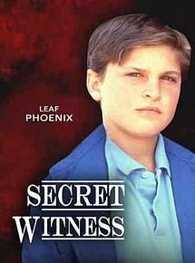 Affiche de Secret Witness, film à voir en streaming sur Pygargue