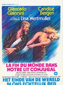 Affiche de Fine del mondo nel nostro solito letto in una notte piena di pioggia, film à voir en streaming sur Pygargue
