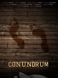Affiche de Conundrum: Secrets Among Friends, film à voir en streaming sur Pygargue