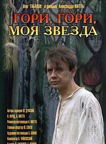 Affiche de Brille, mon Etoile, brille, film à voir en streaming sur Pygargue
