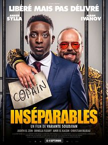 Affiche de Inséparables, film à voir en streaming sur Pygargue
