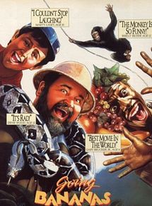 Affiche de Mon aventure africaine, film à voir en streaming sur Pygargue
