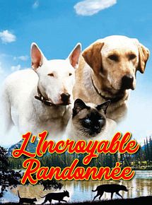 Affiche de L'incroyable randonnée, film à voir en streaming sur Pygargue